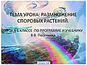Размножение споровых растений