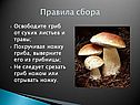 Правила сбора