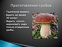 Приготовление грибов