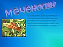 Меченосцы