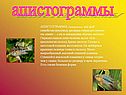 Апистограммы