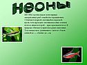 Неоны