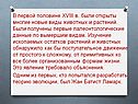 Новые виды животных и растений