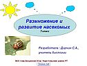 Размножение и развитие насекомых 7 класс