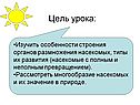 Цель урока: