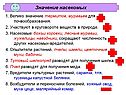 Значение насекомых