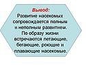 Вывод: Развитие насекомых сопровождается полным и неполным развитием