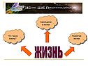Жизнь