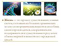 Процесс существования сложных систем