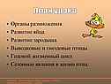 План урока