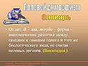 Половой диморфизм