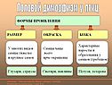 Половой диморфизм у птиц