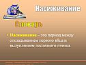 Насиживание