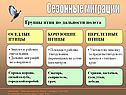 Сезонные миграции