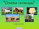 Основы селекции
