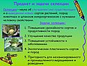 Селекция