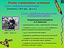 Широкое одомашнивание