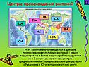 Центры происхождения растений