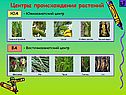 Южноазиатский центр