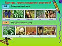Среднеазиатский центр