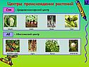 Средиземноморский центр