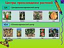 Центральноамериканский центр