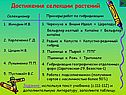 Достижения селекции растений