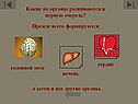 Какие же органы развиваются в первую очередь