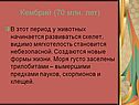 Кембрий