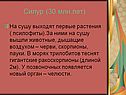 Силур