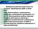 Выберите в цепочке слов только те, которые характеризуют ДНК