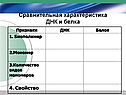 Сравнительная характеристика ДНК и белка