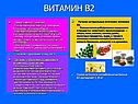 Витамин В2