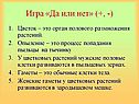 Игра «Да или нет» (+, -)