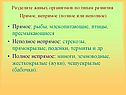 Разделите живых организмов по типам развития