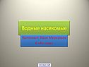 Водные насекомые