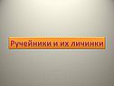 Ручейники и их личинки