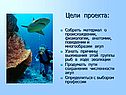 Цели проекта