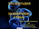 Презентация