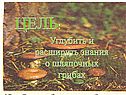 Цель: