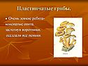Пластинчатые грибы
