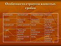 Особенности строения ядовитых грибов