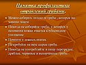 Памятка профилактики отравлений грибами