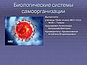 Выполнили: ученицы 10«А» класса МОУ СОШ № 50 г. Томска Кушнаревич Александра