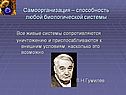 Самоорганизация