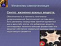 Синтез