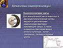 Биологические часы