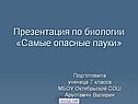 Самые опасные пауки