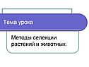 Тема урока