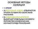 Основные методы селекции
